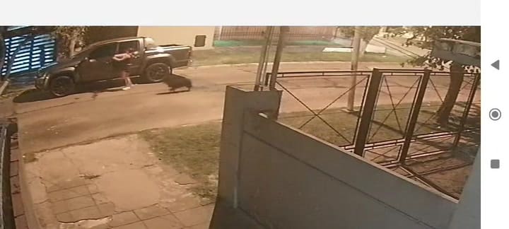 Inseguridad en La Matanza: le apuntaron a la cabeza a una mujer para robarle la camioneta