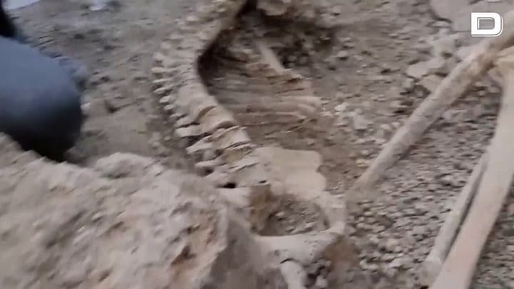 El sorprende descubrimiento en Pompeya