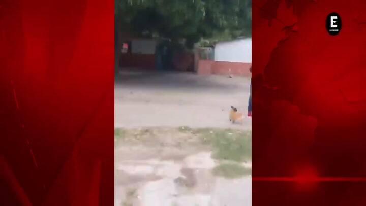 Dos Sismos Sacuden A Cuba