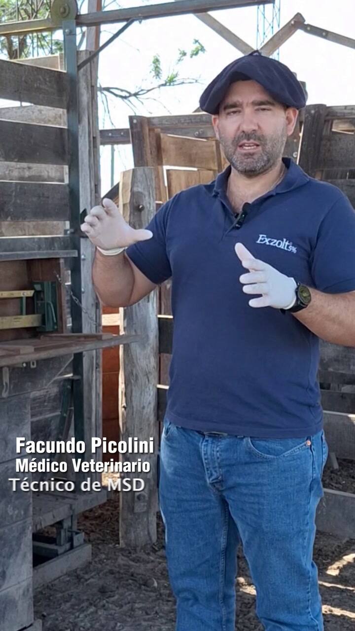 Exzolt 5%: una herramienta clave dentro de la estrategia