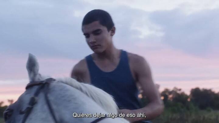 Trailer de Songs My Brothers Taught Me, opera prima de Chloé Zhao