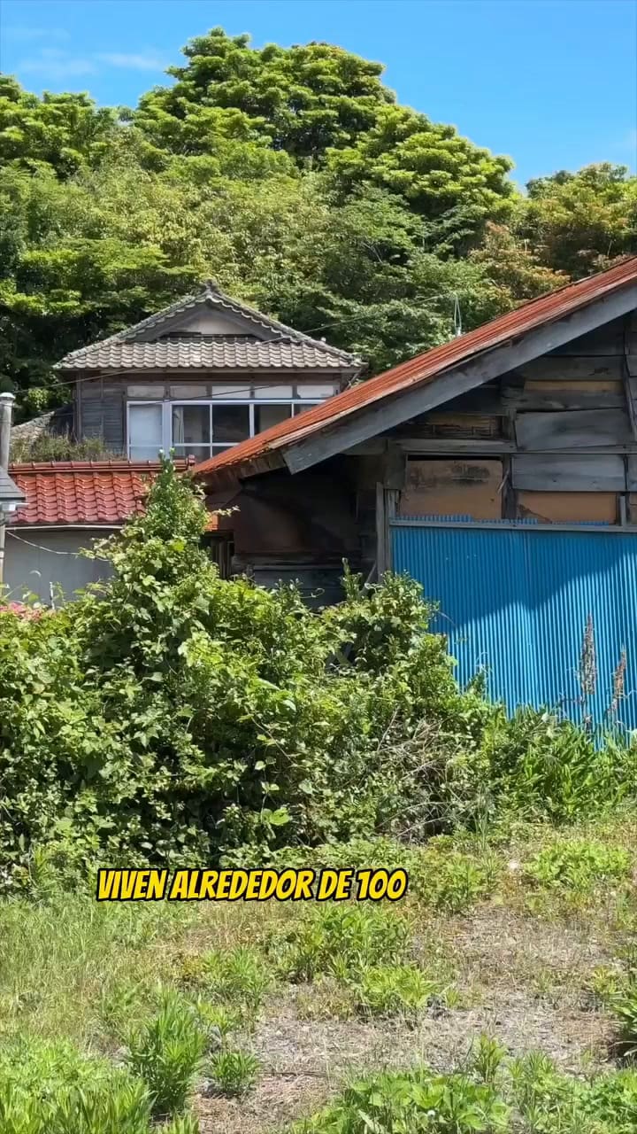 La Isla De Los Gatos En Japón