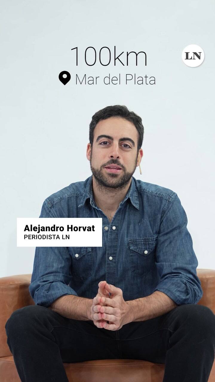 Animales nunca vistos: así es la vida en el fondo del mar en Mar del Plata