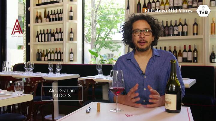 Tdb 29 El Esteco Old Vines - Aldo's