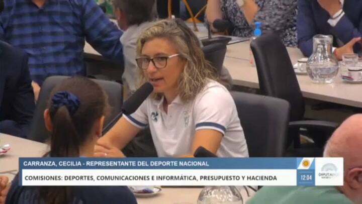 Deportistas olímpicos y paralímpicos debaten en Diputados un proyecto de ley para lograr la autarquía del Enard