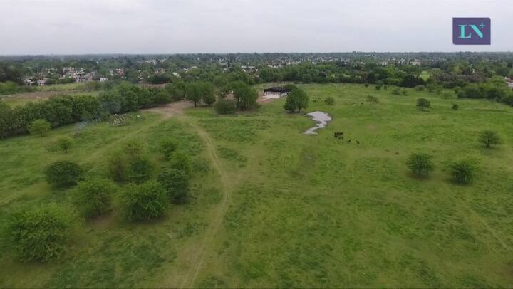 Así se realizaron los rastrillajes para encontrar a Sheila, desde el drone de LA NACION