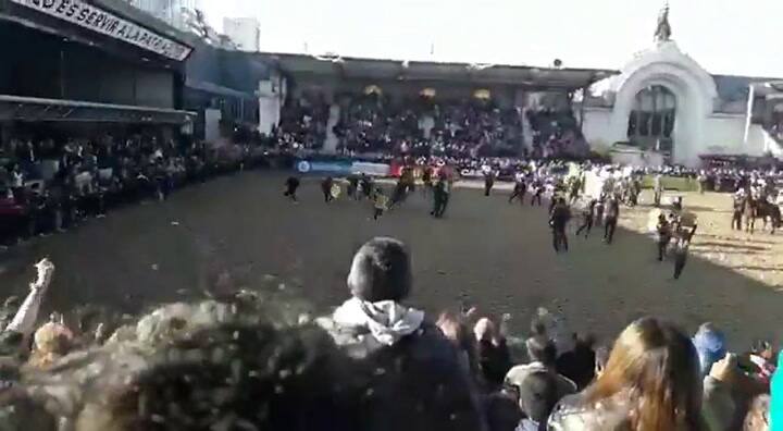 Veganos contra gauchos: defensores de animales protestaron en la Rural contra el maltrato