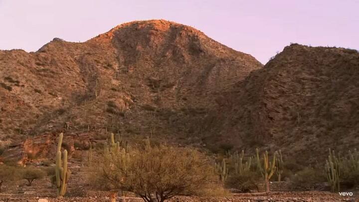 Abel Pintos 'Cactus'