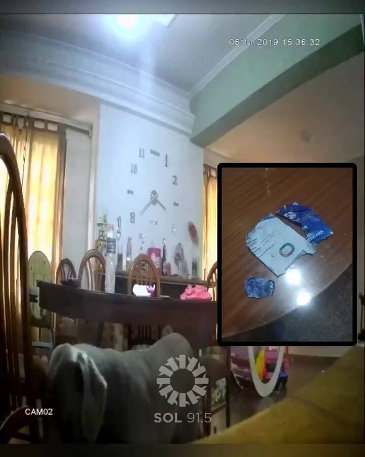 Insólito: su perro le destruyó la entrada para la final de la Copa Sudamericana - Fuente: fmsol951