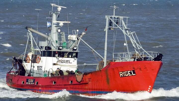 Carlos Villareal: 'Estamos en plena etapa de búsqueda del Rigel' - Fuente: Télam