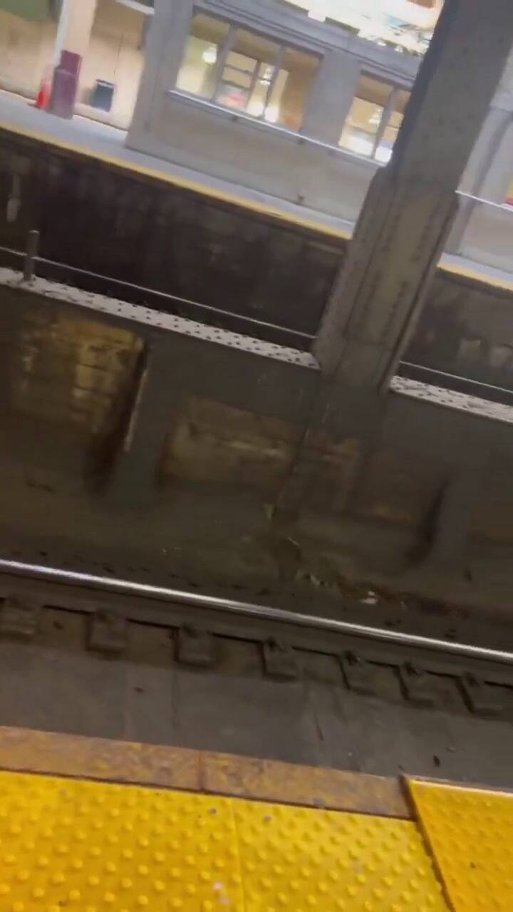 Un toro causó caos y demoras tras irrumpir en una estación de tren en Nueva Jersey