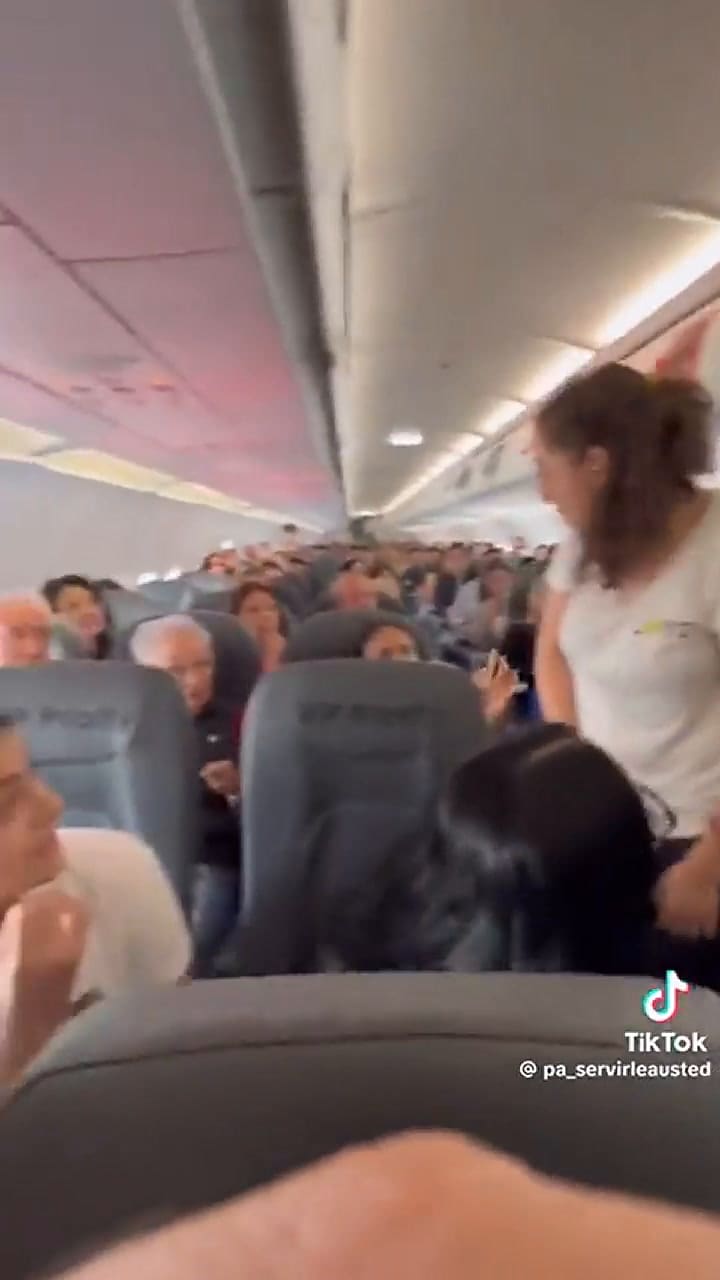 Una pasajera es obligada a bajarse del avión con su perro de apoyo emocional