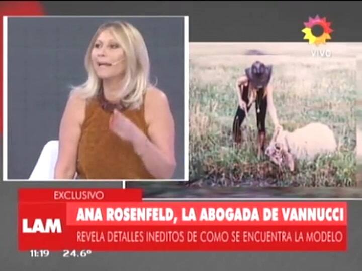 Ana Rosenfeld y su defensa de Victoria Vannucci