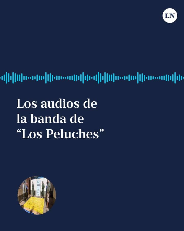 Los audios de la banda de “Los Peluches”
