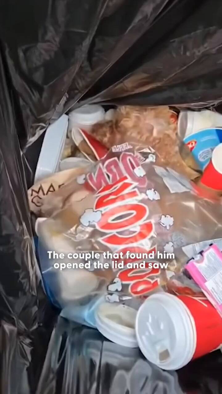 El emotivo rescate de un perro que fue abandonado en un tacho de basura