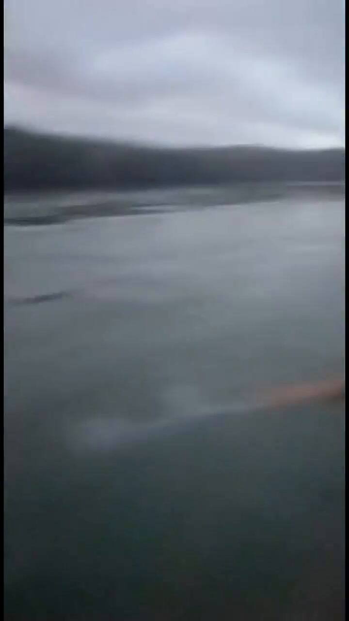 Cubano cruza el Río Bravo para encontrarse con su familia en EE.UU.