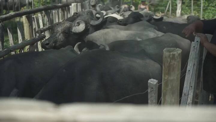 Hambre de Futuro - Maria