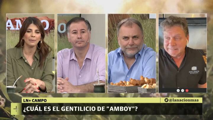 LN+CAMPO - Gentilicio de Amboy