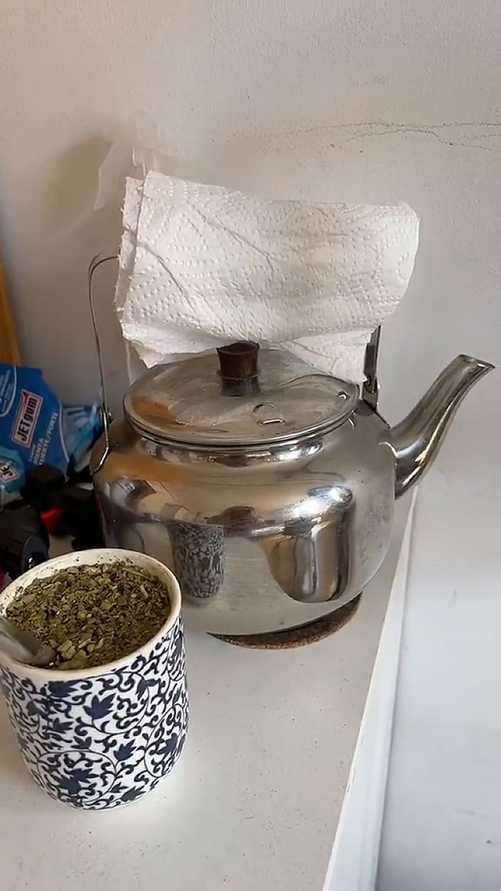 Bella comparte cómo es vivir con su novio argentino en su cuenta de TikTok