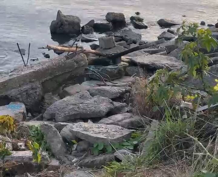 Una rata en el paseo costero de Vicente López. Fuente: LA NACION