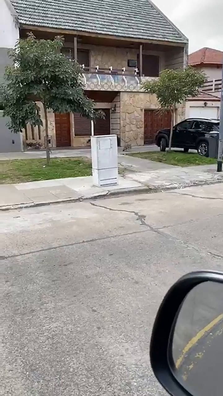 Un zorro suelto en Mataderos fue detectado por los vecinos del barrio