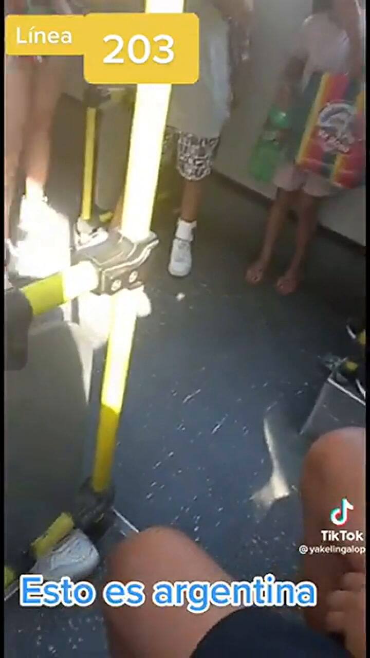 Gritos, empujones y pasajeros ahogados con gas pimienta en un colectivo