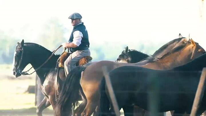 El homenaje de Angus a la selección argentina tras la obtención de la Copa del Mundo