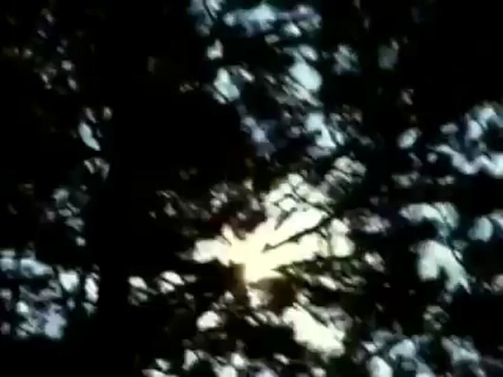 Trailer Busco mi destino - Fuente: Youtube