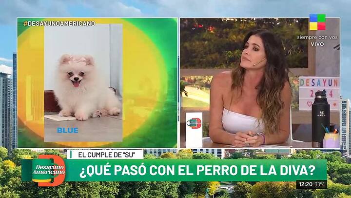 Susana Gimenez habria regalado el perro de Cristian Castro