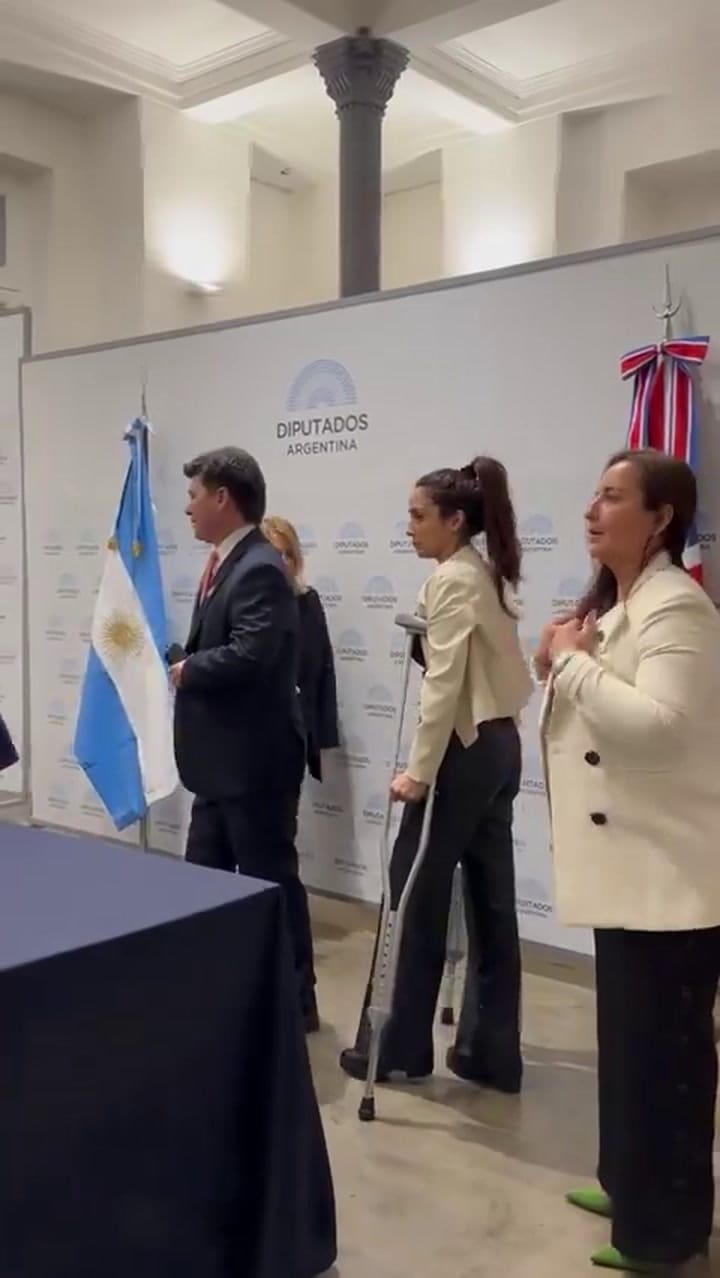 La polémica entre una diputada y la embajadora británica por una remera de Malvinas con la bandera argentina