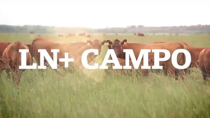 190406 Pgm Campo Entrevista Picante Ii