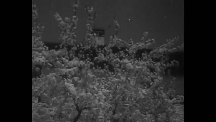 La broma de los espaguetis de la BBC