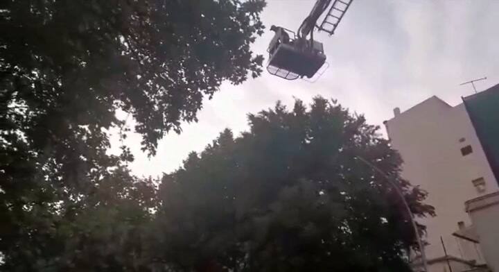 Los bomberos deberion bajar del techo de la Aduana de Bahía Blanca a un ladrón