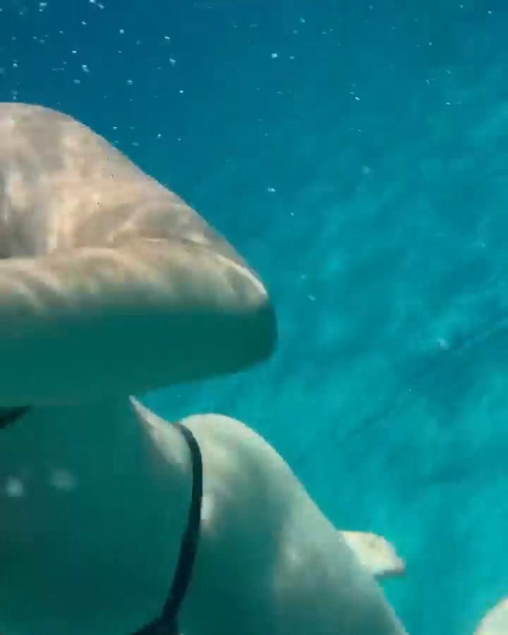 Lali Espósito y Rels B se mostraron juntos