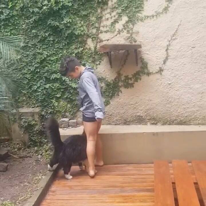 Valentín adiestrando a Richard Parker