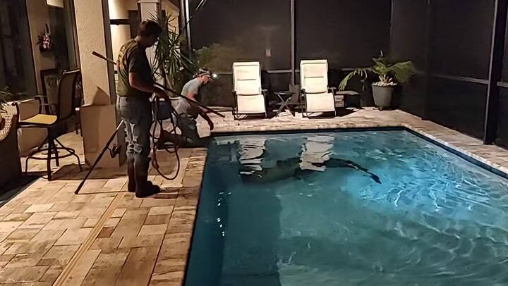 An8dbxiyywcdymd0a3nhxiohcwyj6zvfmx9-lyrqq1e2yp7lpnterkbealzo2ggmqqehxrtep2flbz Nppbrtug