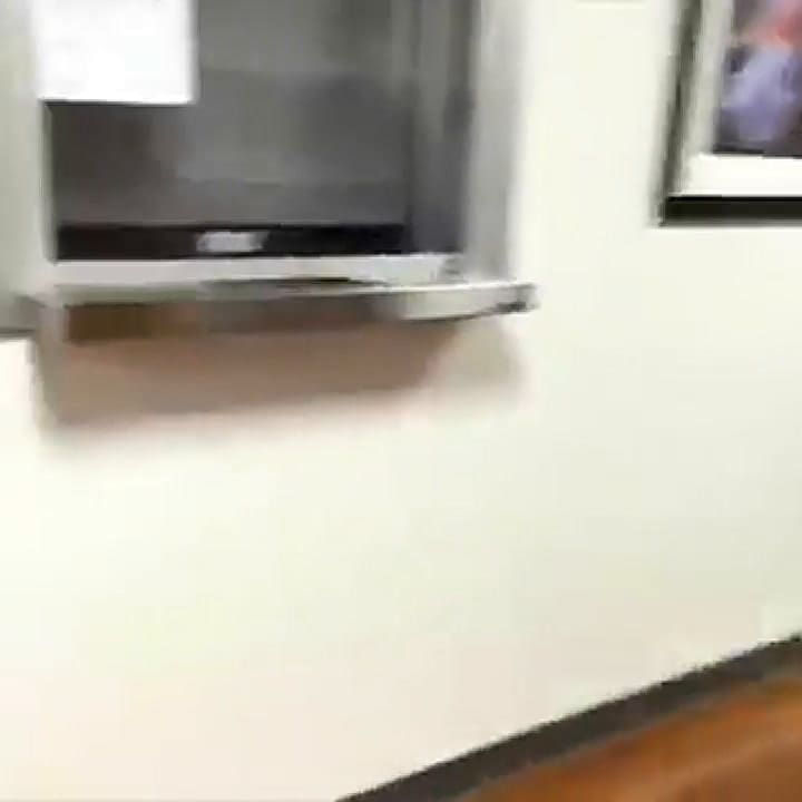 Un perro acompañó a su dueño mientras estaba internado