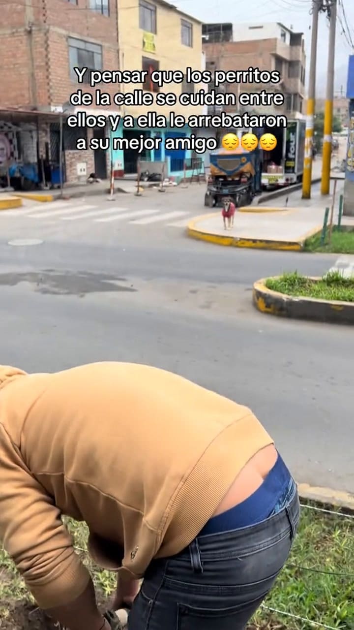 El video que compartió la usuaria en TikTok