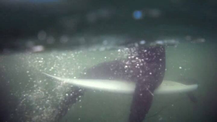 Ian Calderón lanzó su candidatura a gobernador de California