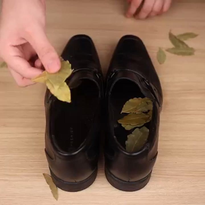 Ritual de la hoja de laurel en el zapato