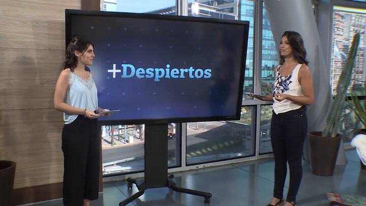 Semáforos LED para peatones distraídos - Stephanie Chernov en Más Despiertos