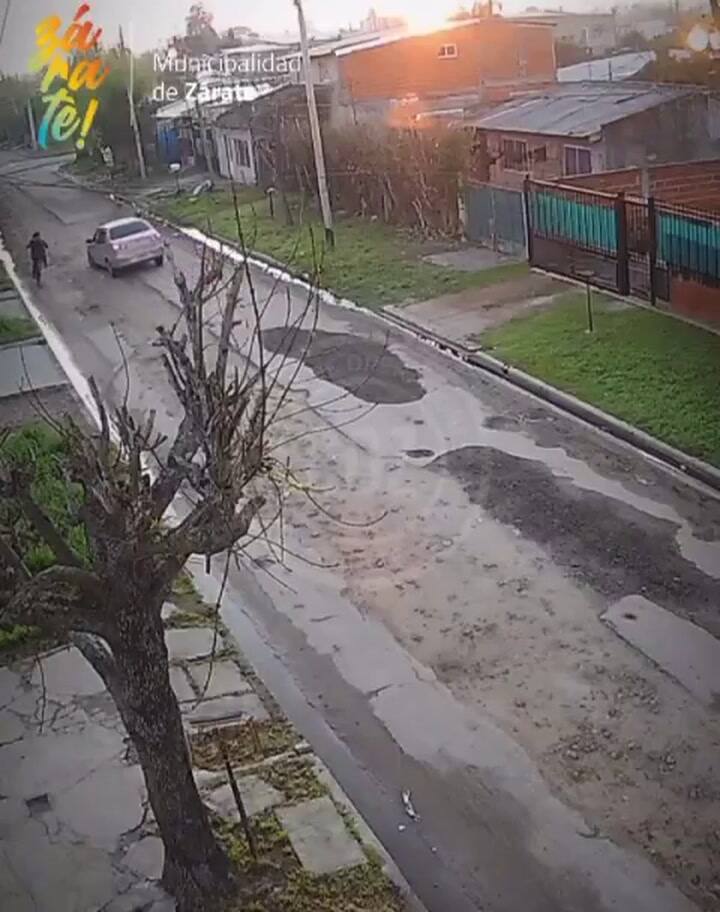 Un vecino evitó el robo de un celular en Zárate