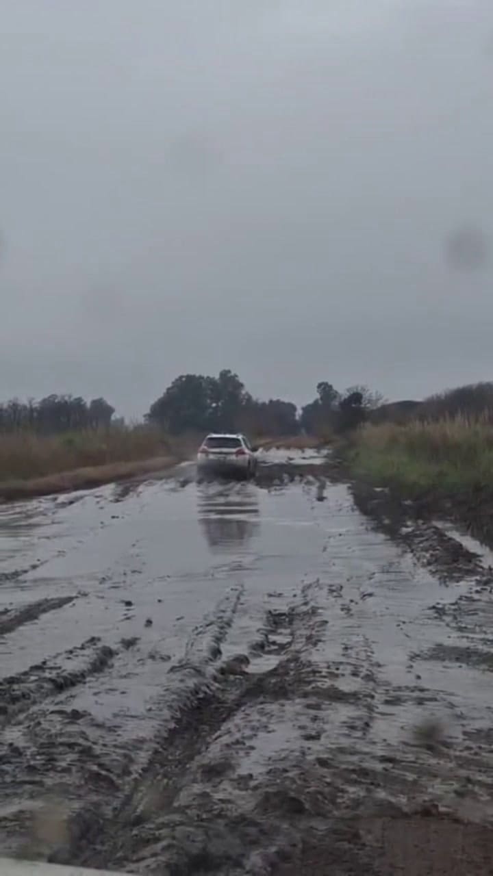 Estado de los caminos rurales en General Viamonte