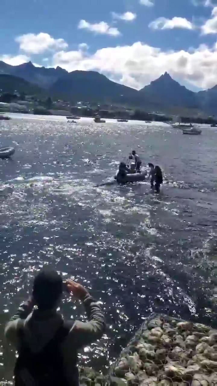 Rescatan a un delfín piloto en Ushuaia