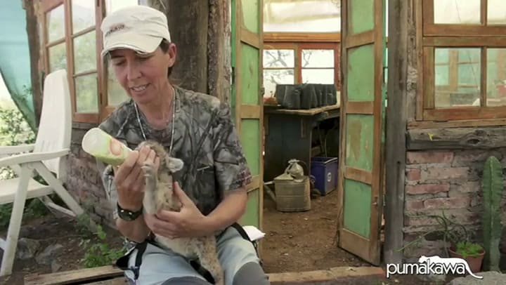 Talita, el pumita de Idiazábal - Fuente: Instagram