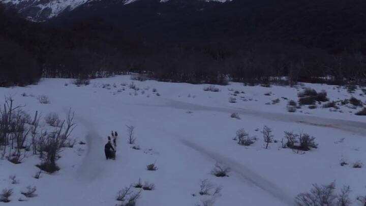 Trailer de La guarida del lobo - Fuente: YouTube