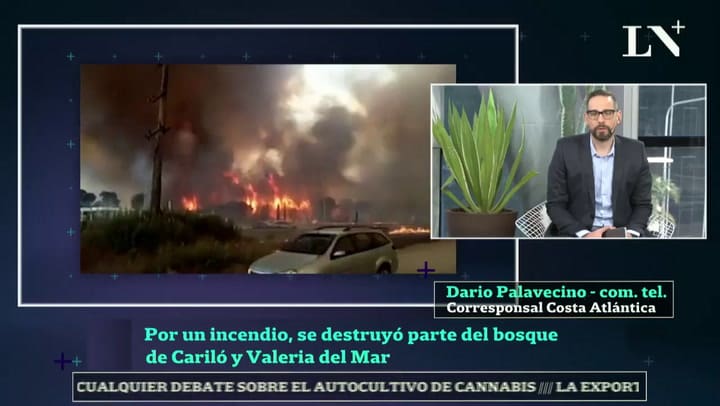 Incendios forestales en la Costa