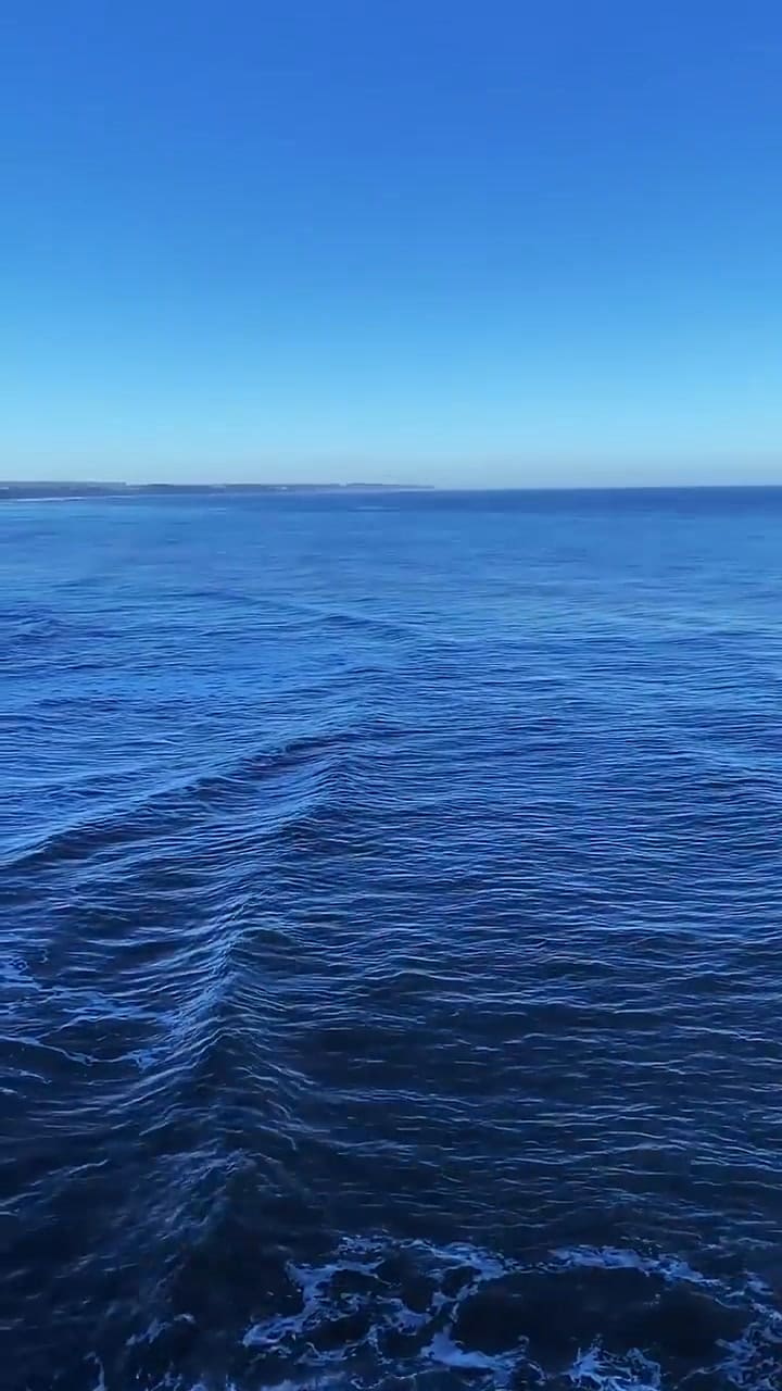 Mar del Plata Notidata published photos of the deterioration and danger of the stairs in Barranca de los Lobos