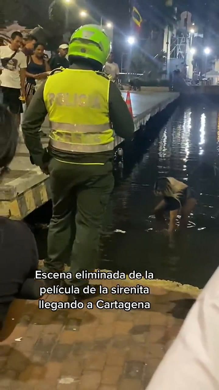 Se lanzó a una Bahía tras pelear con la policía