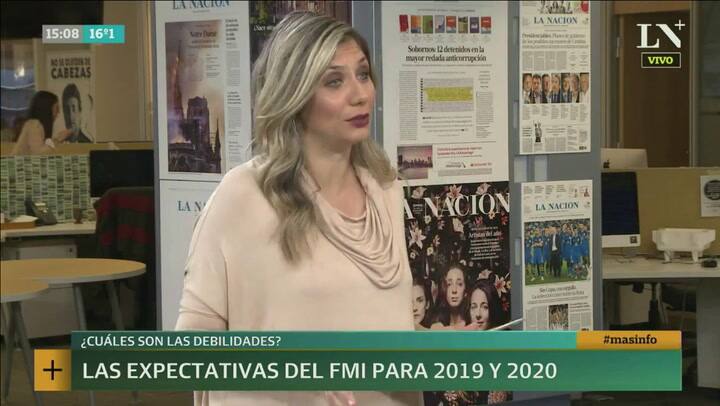 Cuáles son las debilidades locales según el FMI